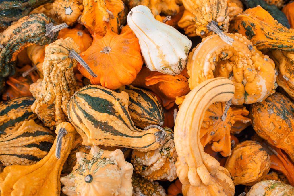 entdecken sie vielfältige gemüsesorten für ihren garten – von traditionellen klassikern bis zu exotischen highlights. tipps zur anzucht und pflege inklusive.